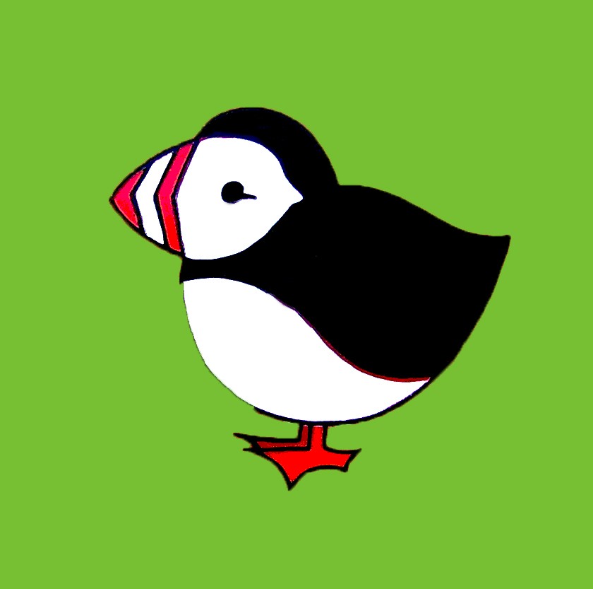 puffin