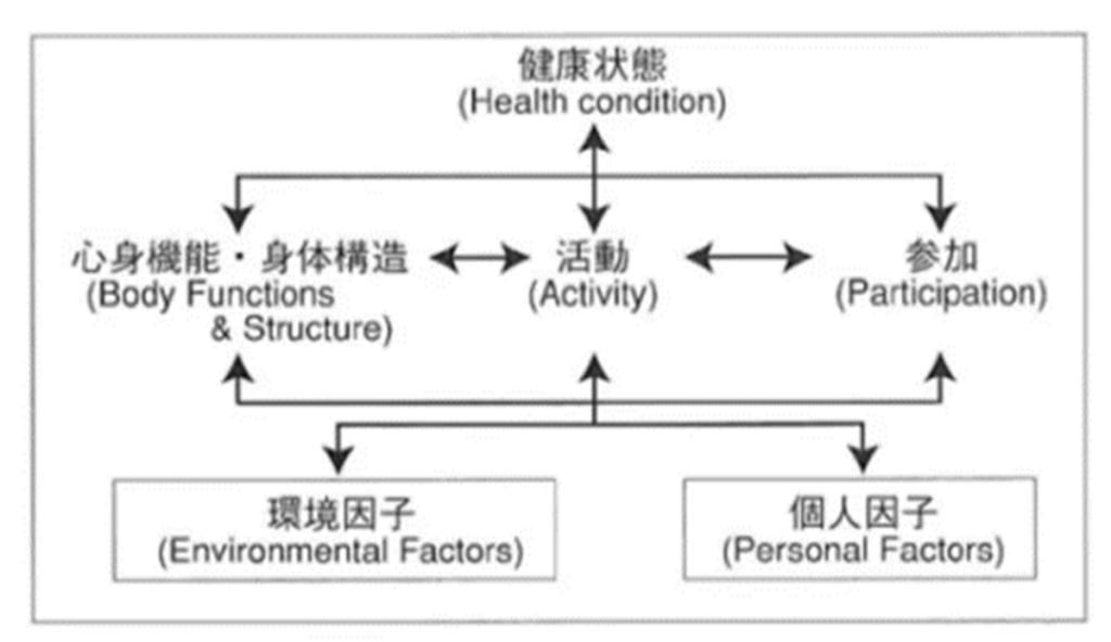 ICF（国際生活機能分類）（橋本一豊さんより提供）