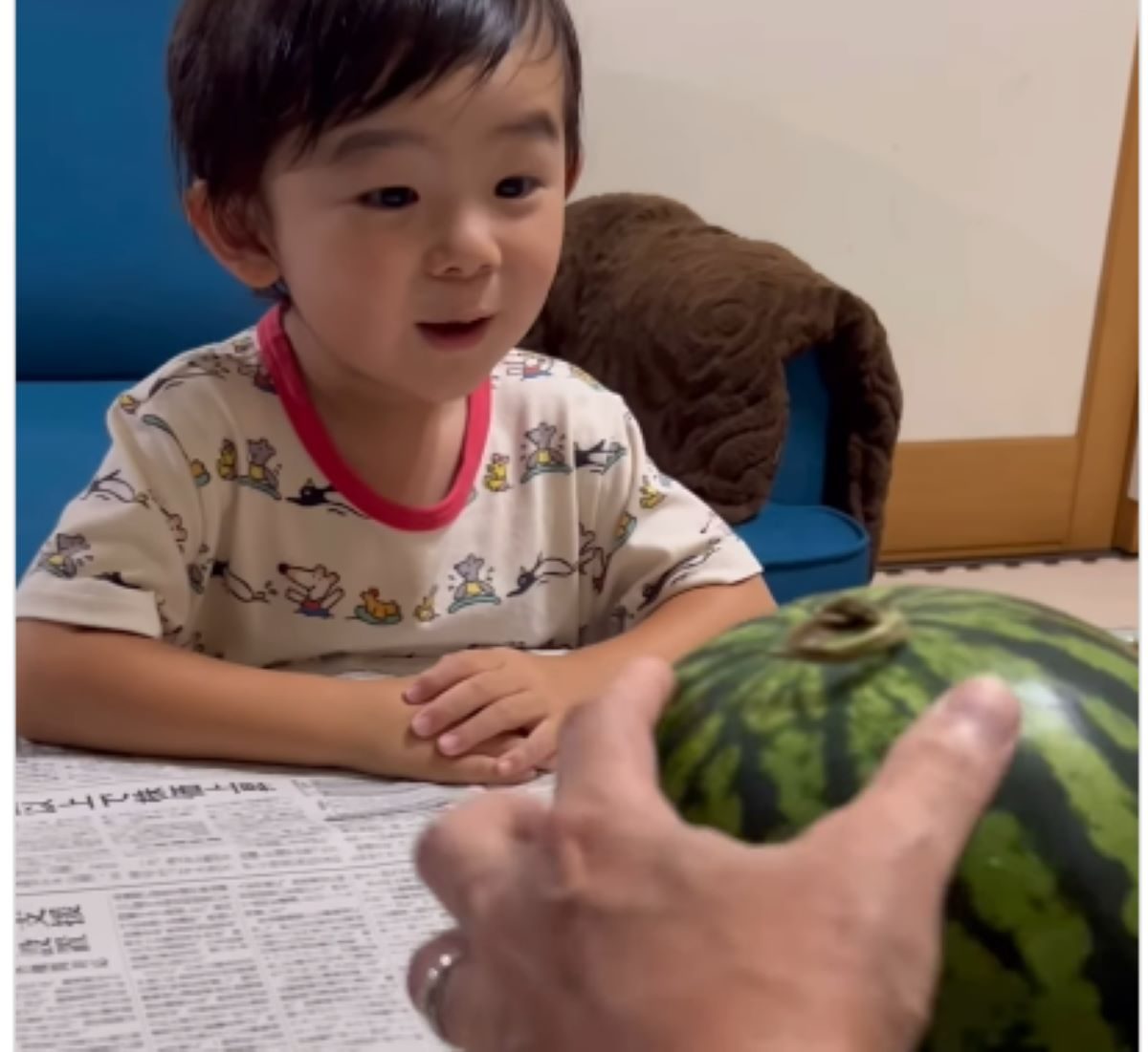 スイカの中身を見た2歳息子…直後、まさかの反応に「天使」「めっちゃかわいい」「ちょっと警戒してる」の声