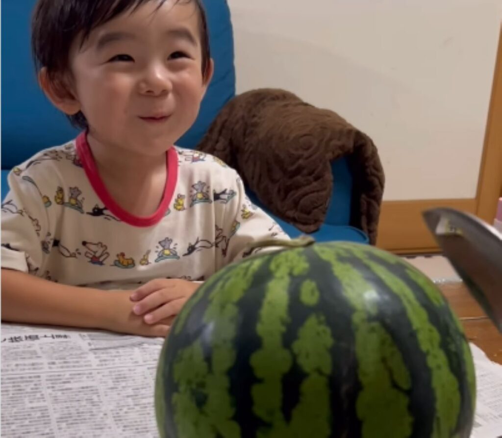 【実際の写真5枚】スイカの中身を見た2歳息子の様子（＠uuui_ycooさんより提供）