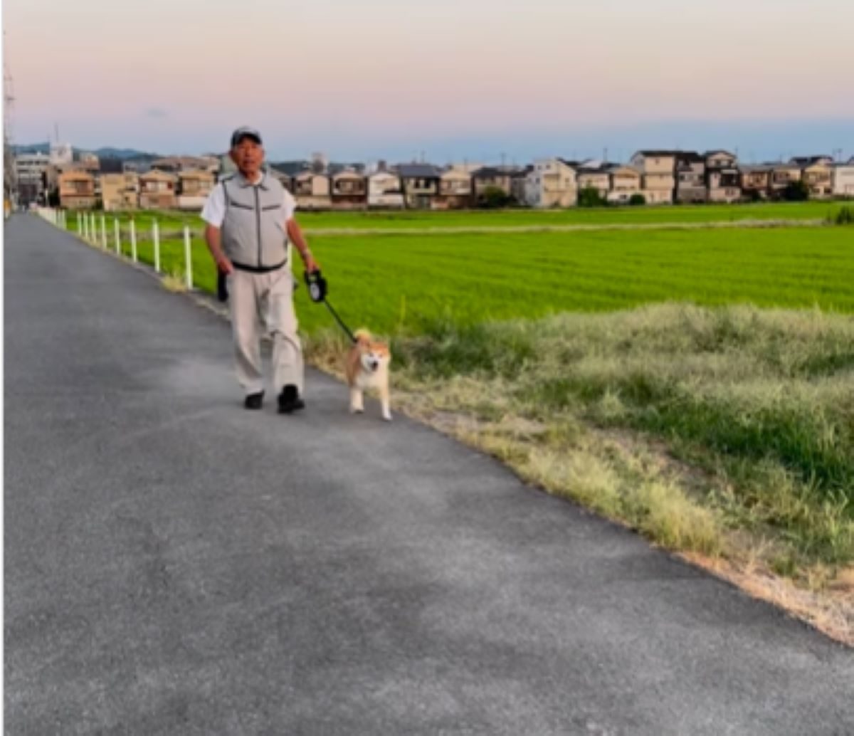 散歩中のじいじと柴犬、ドッキリで孫が登場すると「相手が一枚ウワテだった」「サイコーすぎる」