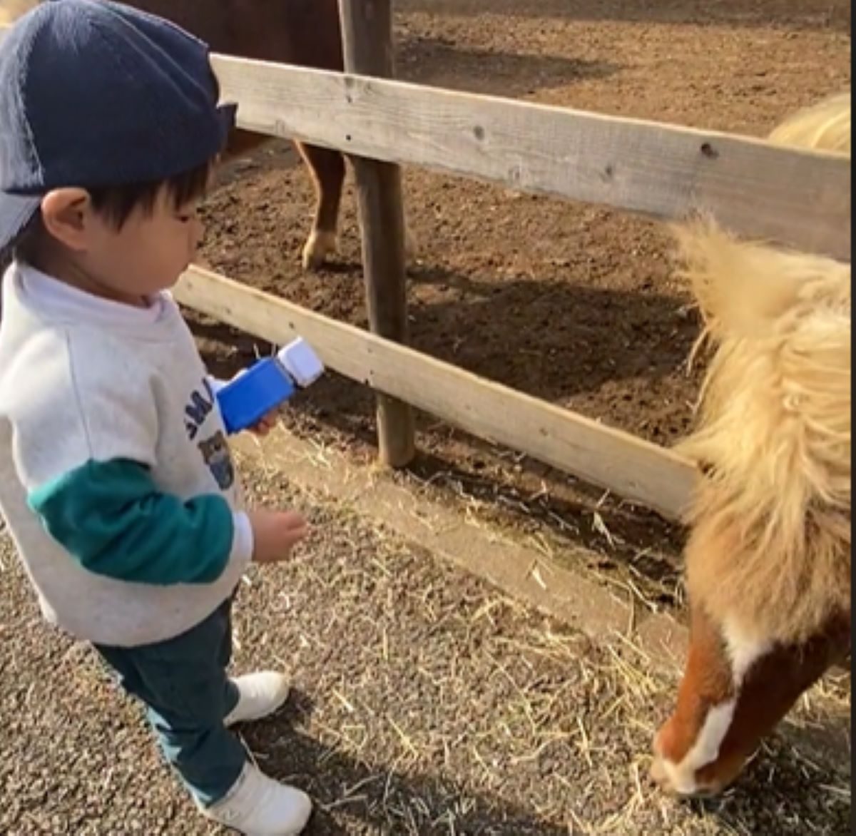 馬と触れ合う1歳児　しかし突然のハプニングに…！？「かわいすぎる」の声