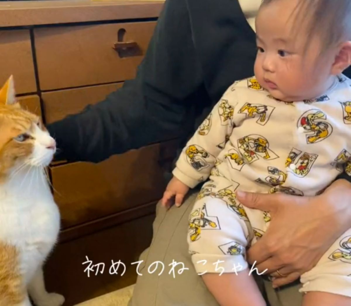 初めての猫に緊張する赤ちゃん　しかし、その後の様子に「対応がプロ」「紳士」「かわいいにかわいいがコラボ」