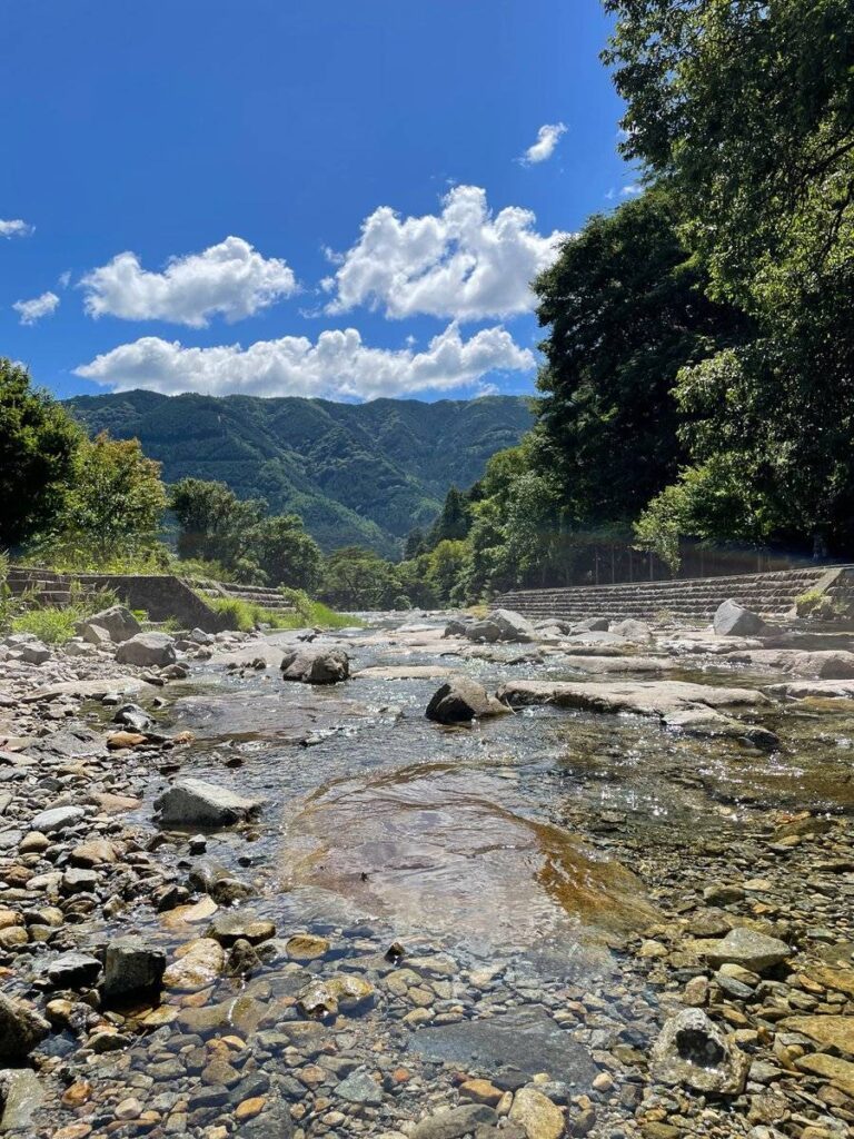 【実際の写真5枚】自然豊かな土地へ移住した様子（写真提供：あいさん）