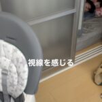 視線を感じる（maru_family_さんより提供）