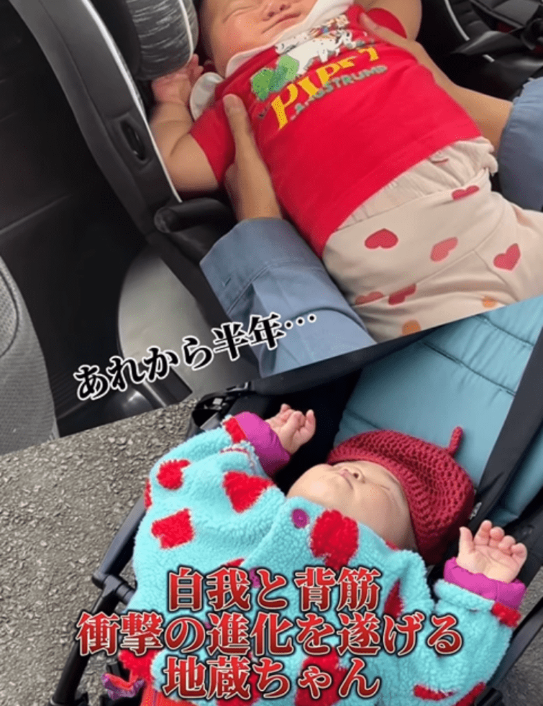 【実際の写真6枚】　半年後の様子