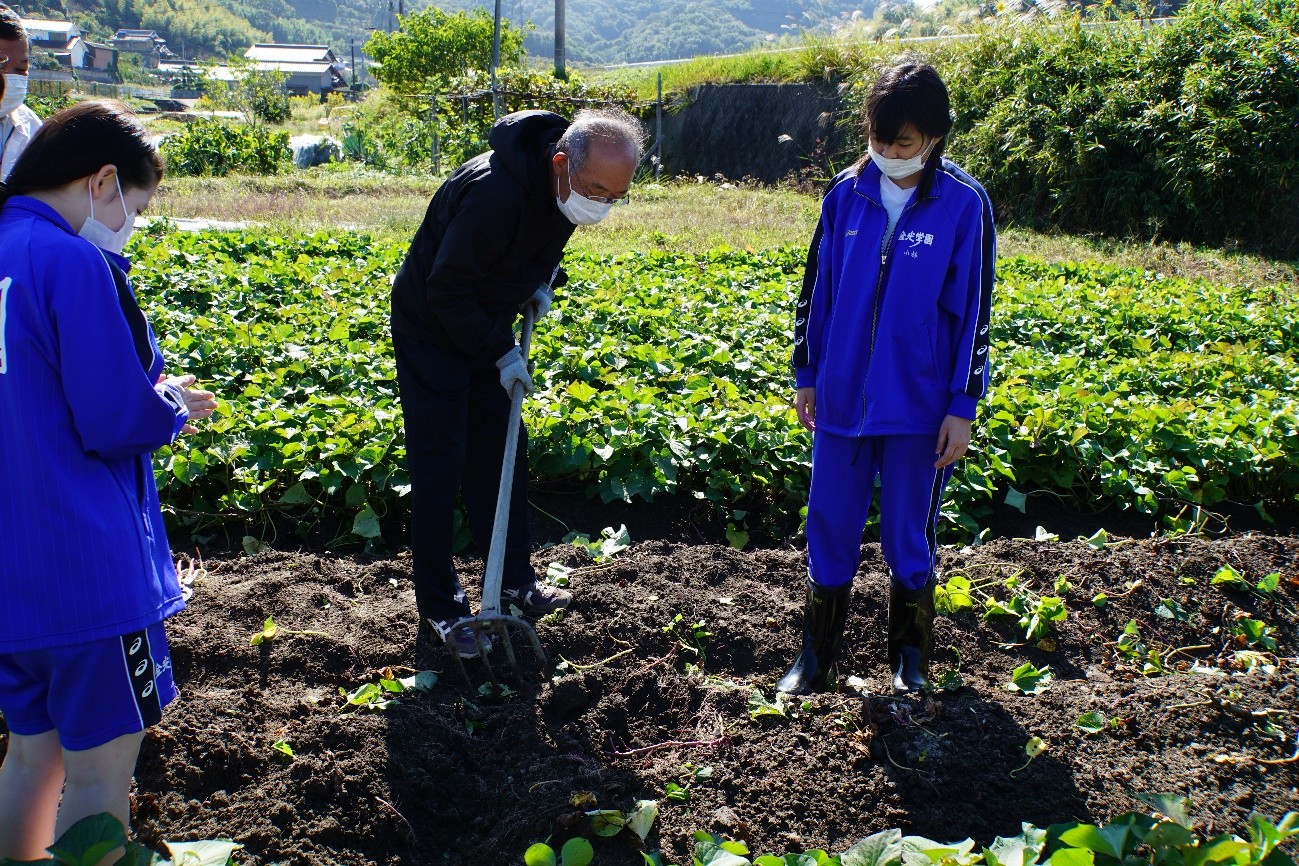 サツマイモ…と定金さん