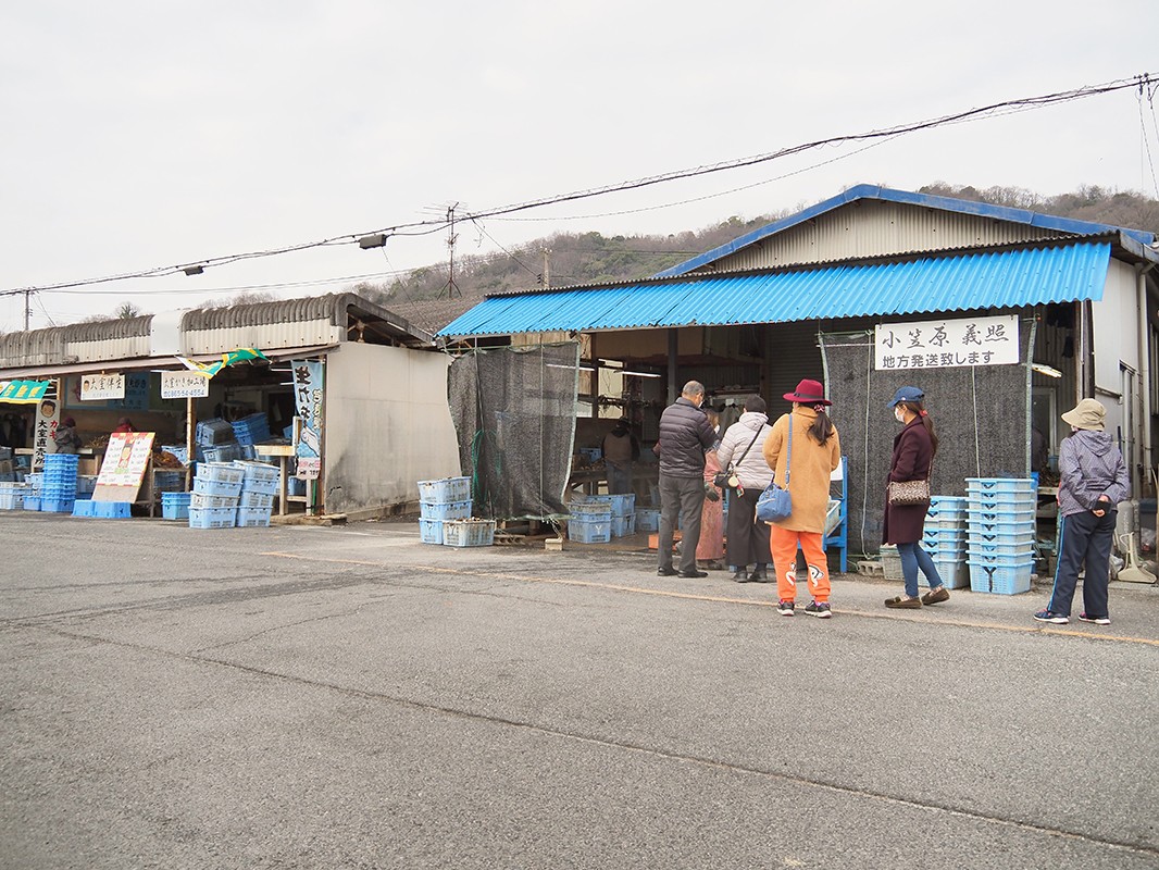 寄島漁港に…小笠原水産