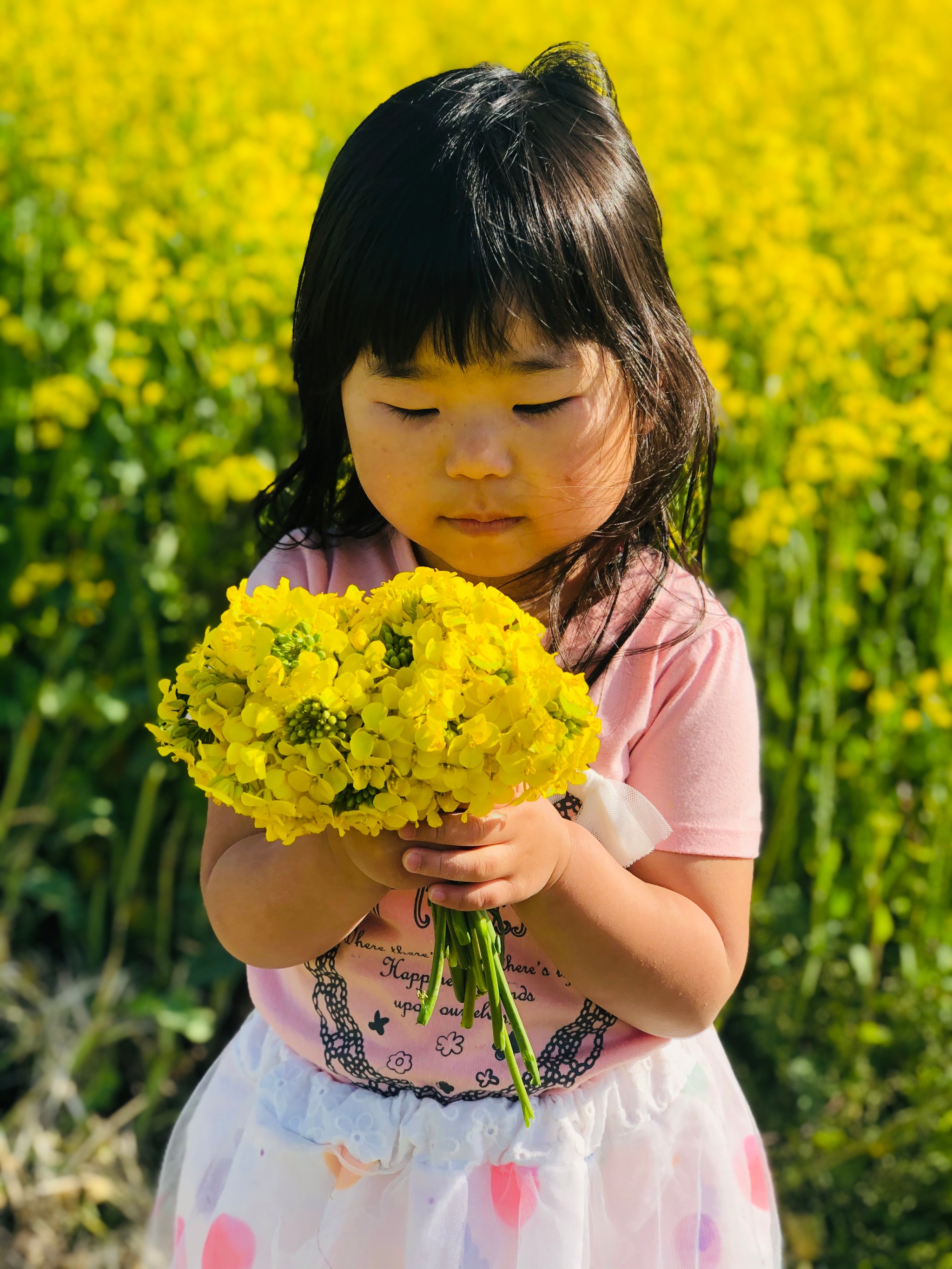 菜の花岸本さん⑤