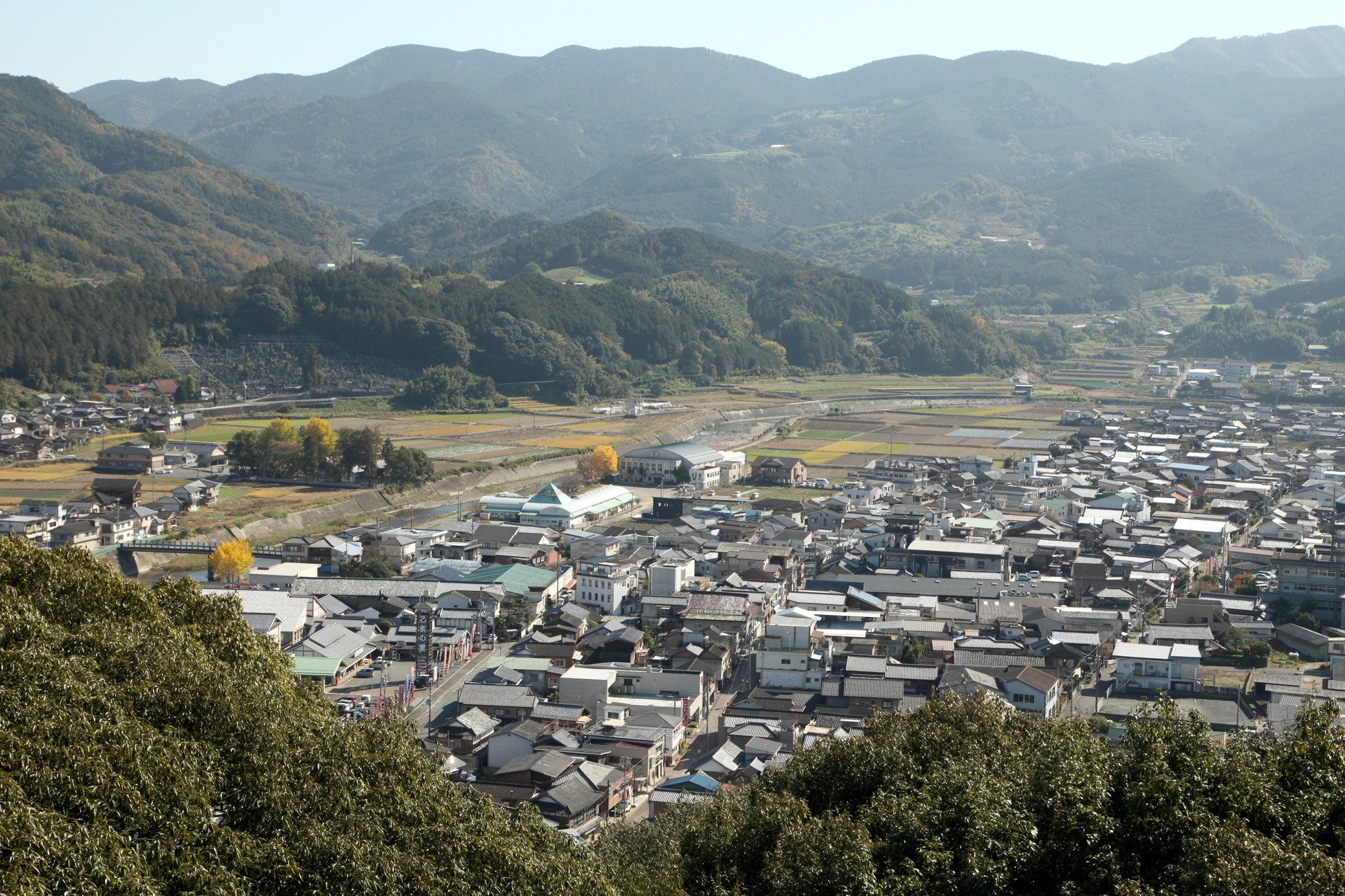 銘酒「緒方洪庵」復活