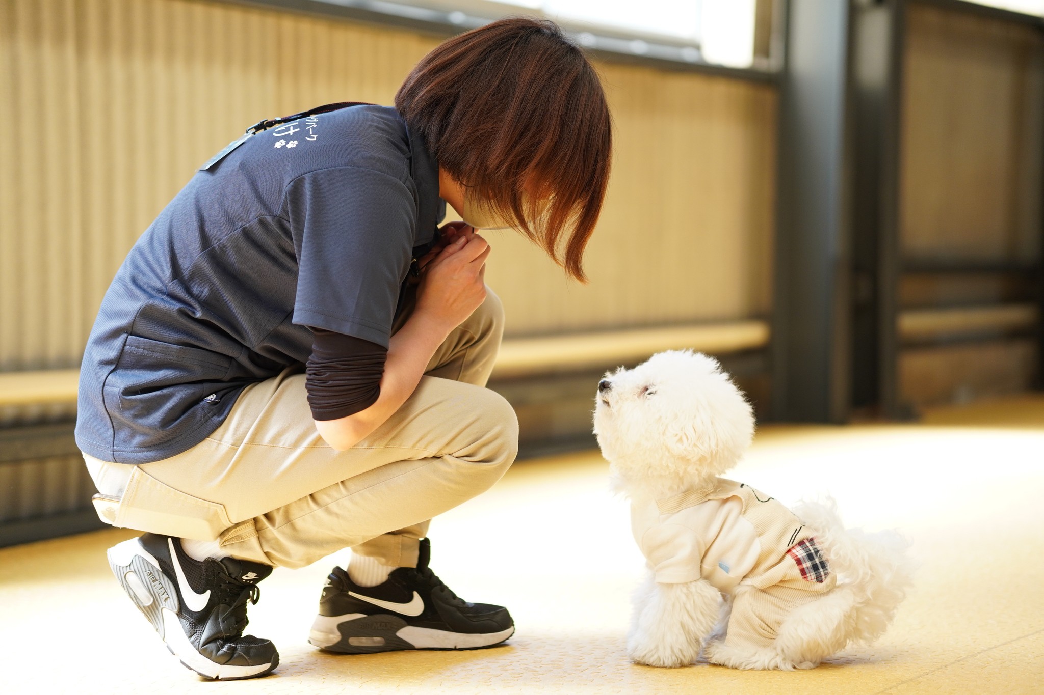 犬と飼い主の「絆と健康のため」の複合施設が岡山に　姉弟が二人三脚で夢を実現　全国初の“犬向け”筋膜リリース療法も