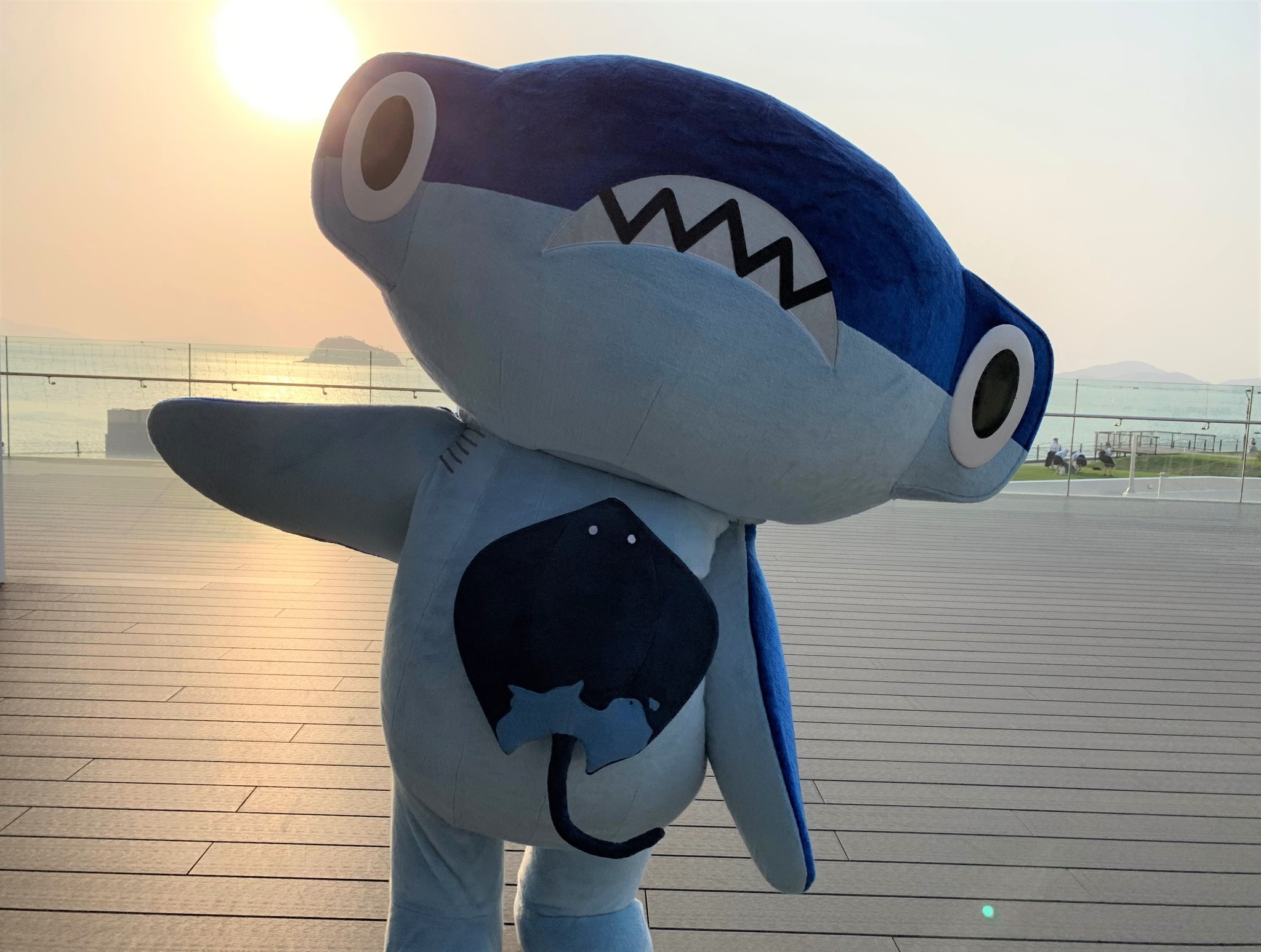 迷子でもポジティブ！ ご当地キャラの新星、四国水族館の「しゅこくん」は学びの要素満載のシュモクザメ – ほ・とせなNEWS