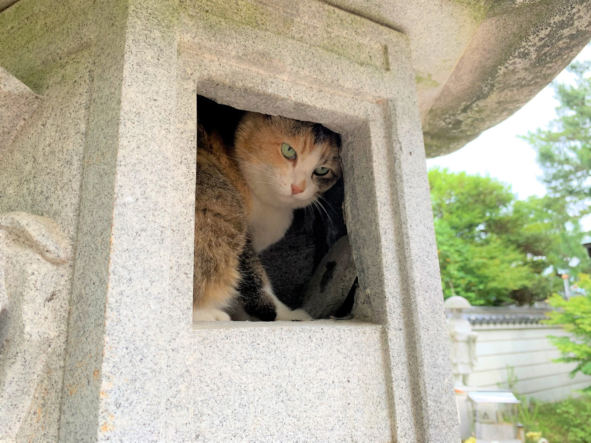 ☆灯籠の中…ットです。