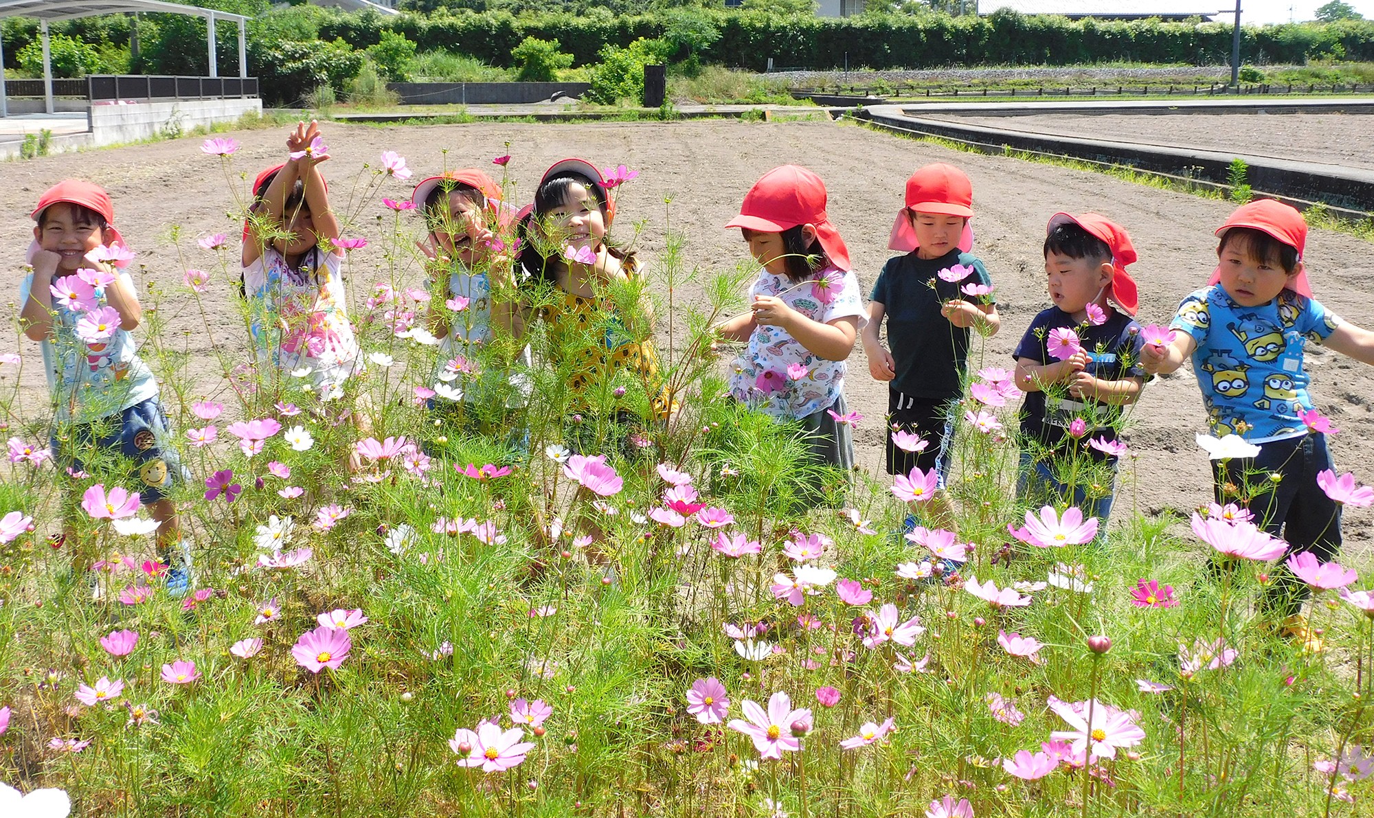 南幼稚園（再）