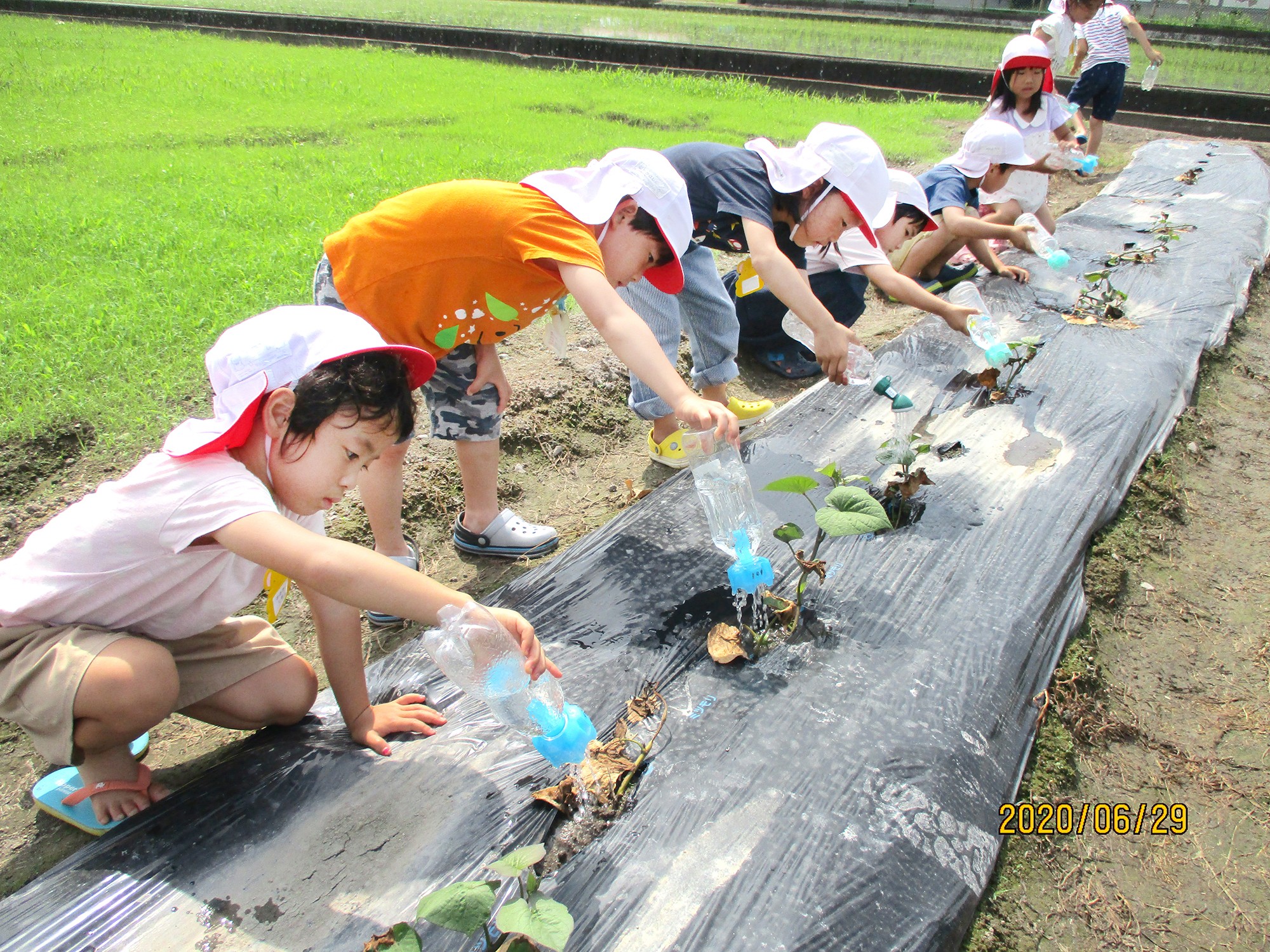 南幼稚園（再）