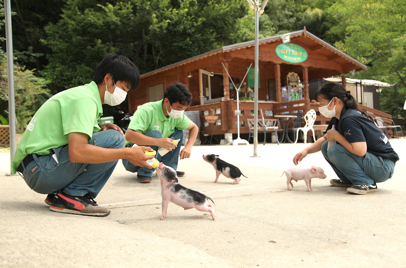 しろとり動物園