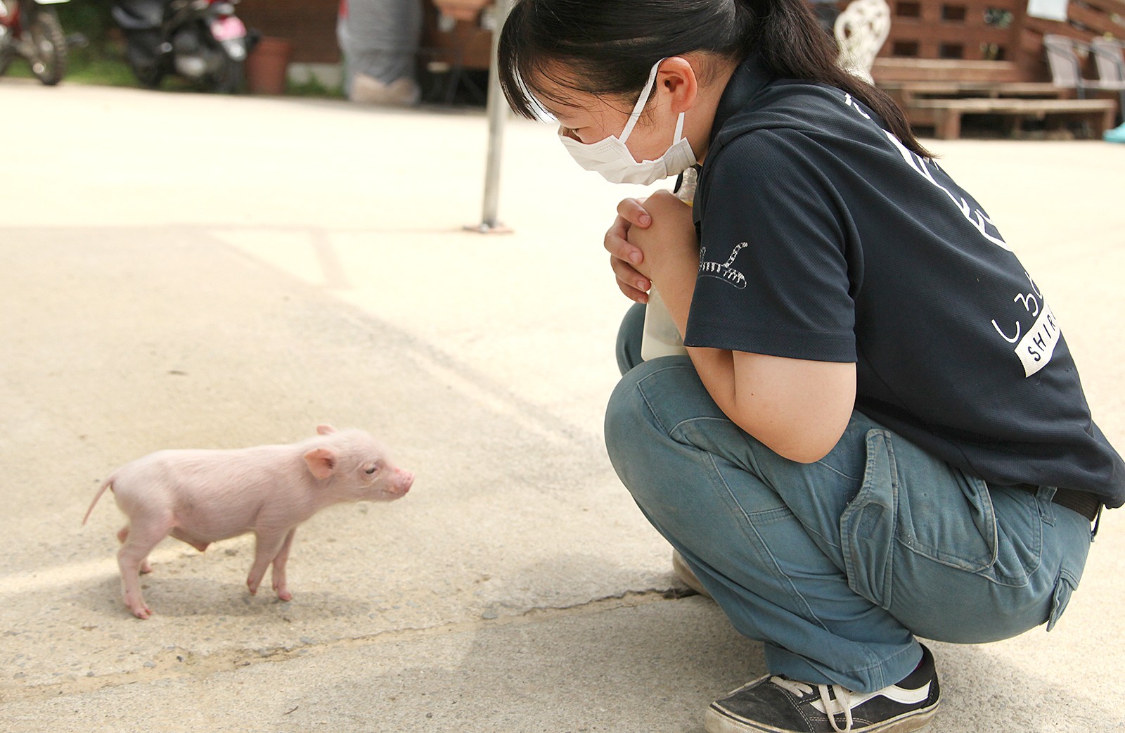 しろとり動物園