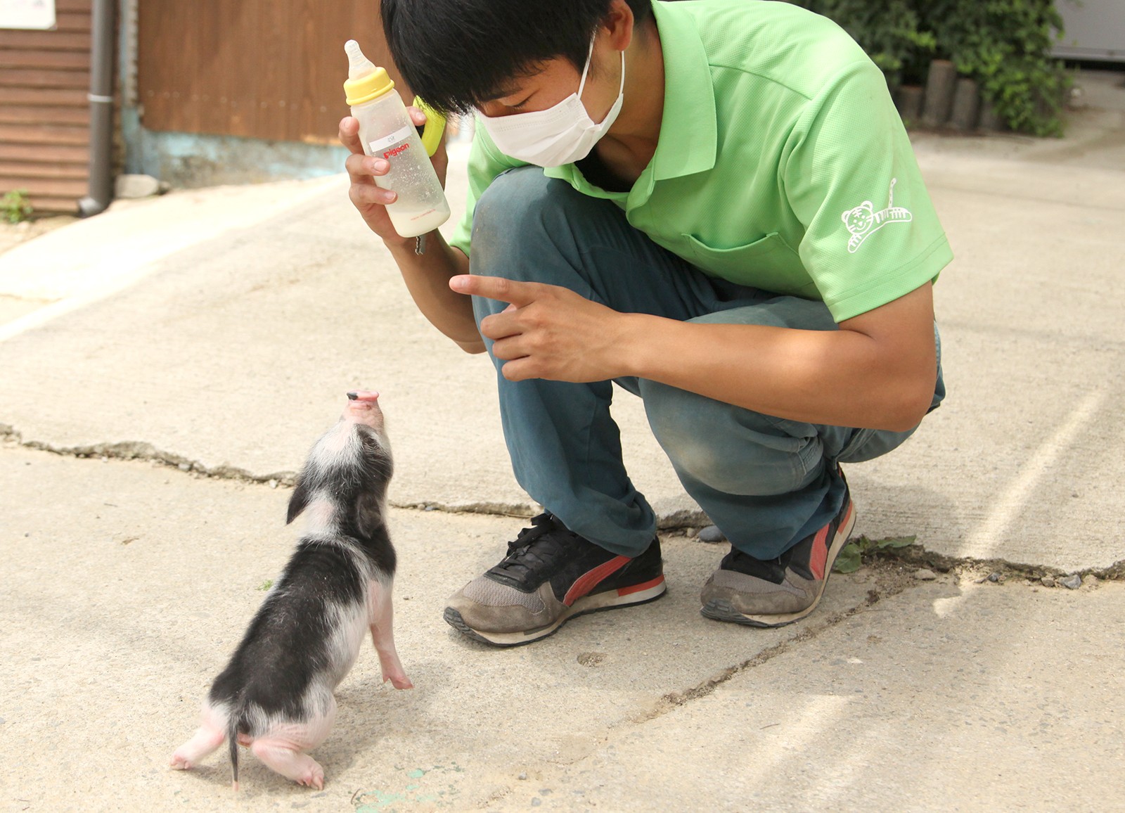 しろとり動物園