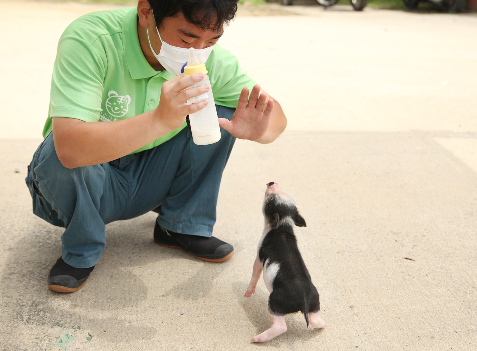 しろとり動物園