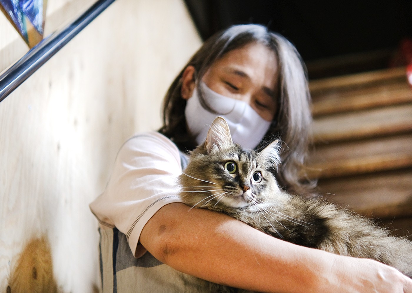 石崎金物店の猫