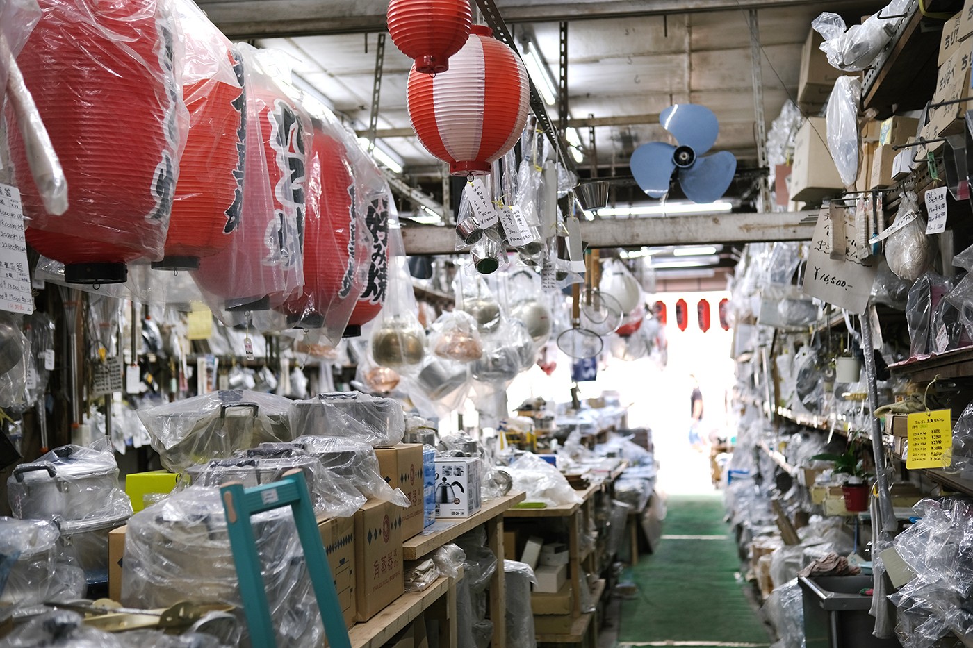 石崎金物店の猫