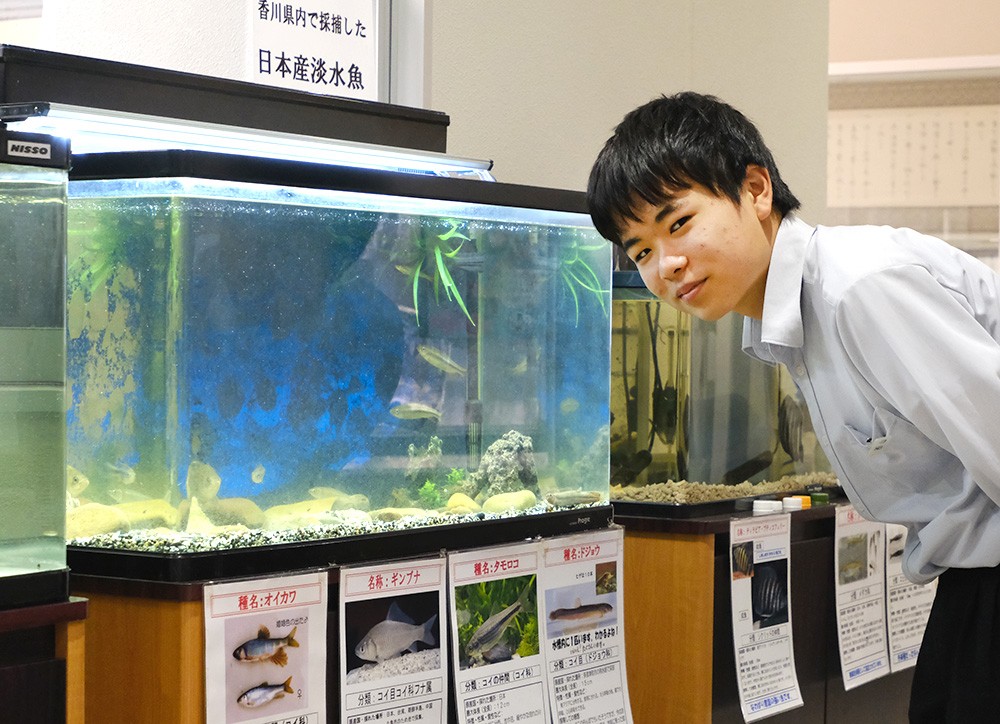 ミニ水族館