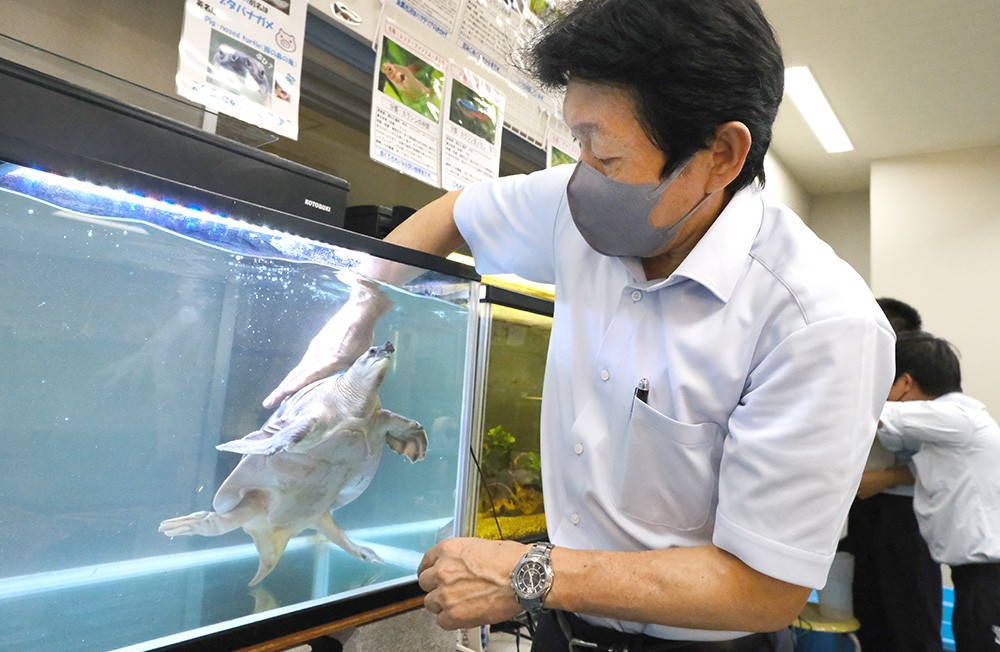 ミニ水族館