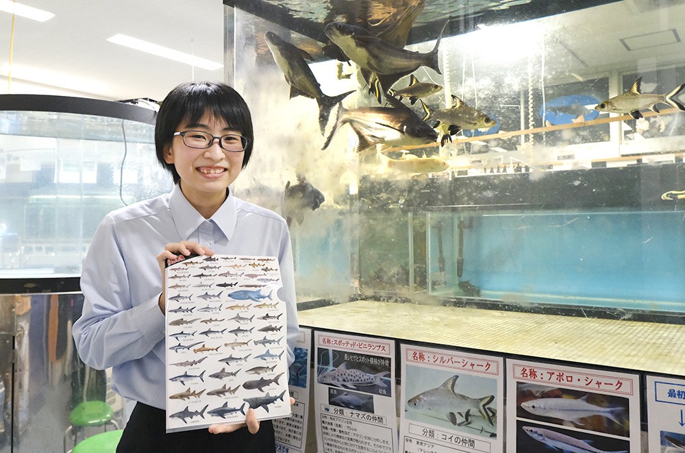 ミニ水族館