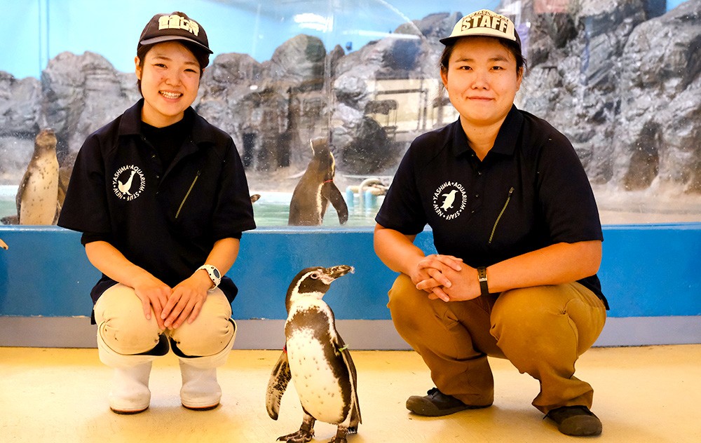 新屋島水族館