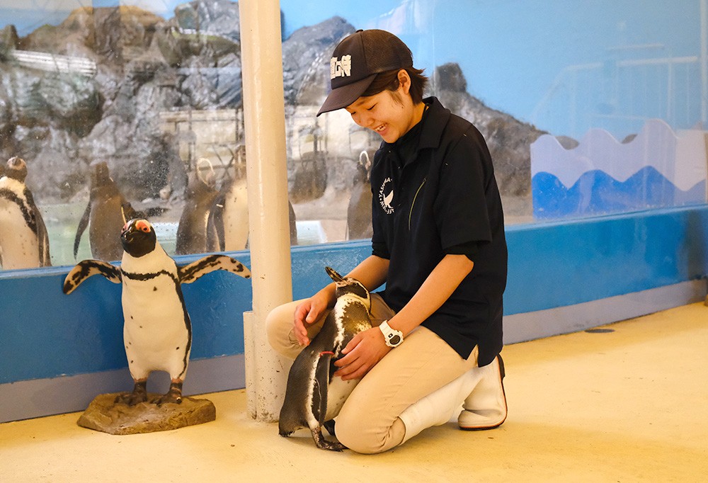 新屋島水族館