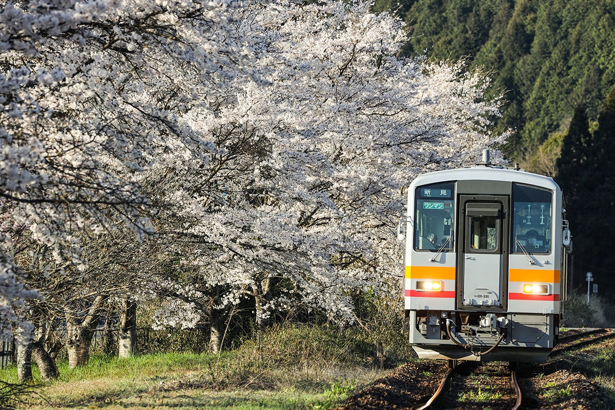 鉄道写真家白井さん