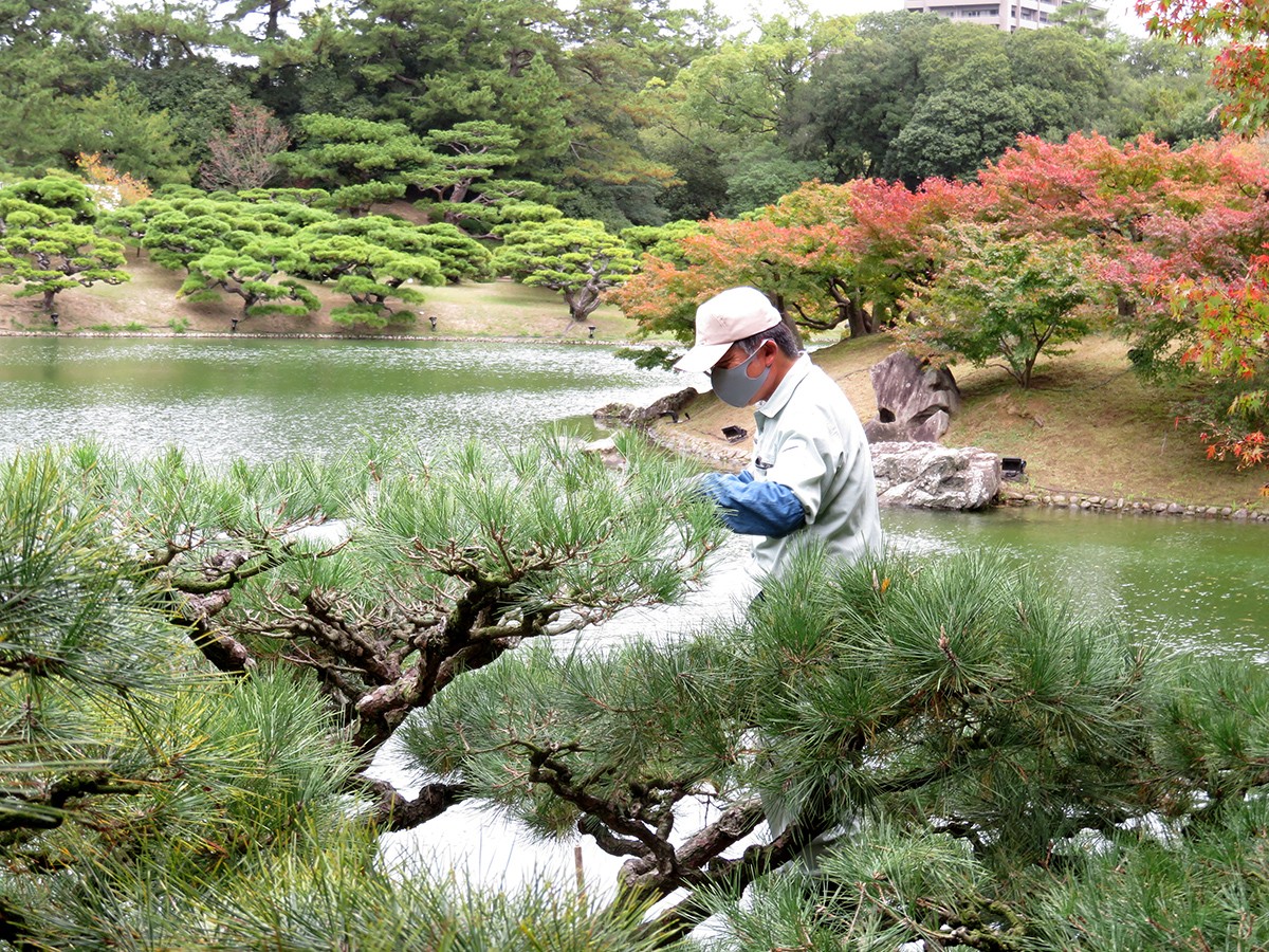 栗林公園