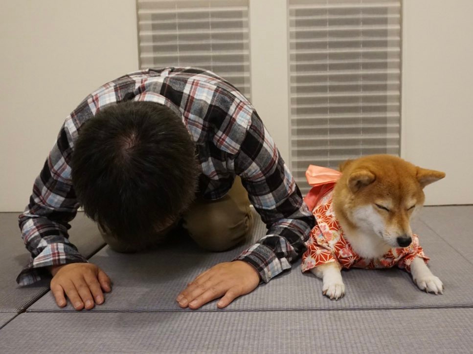 新年の挨拶…提供画像）