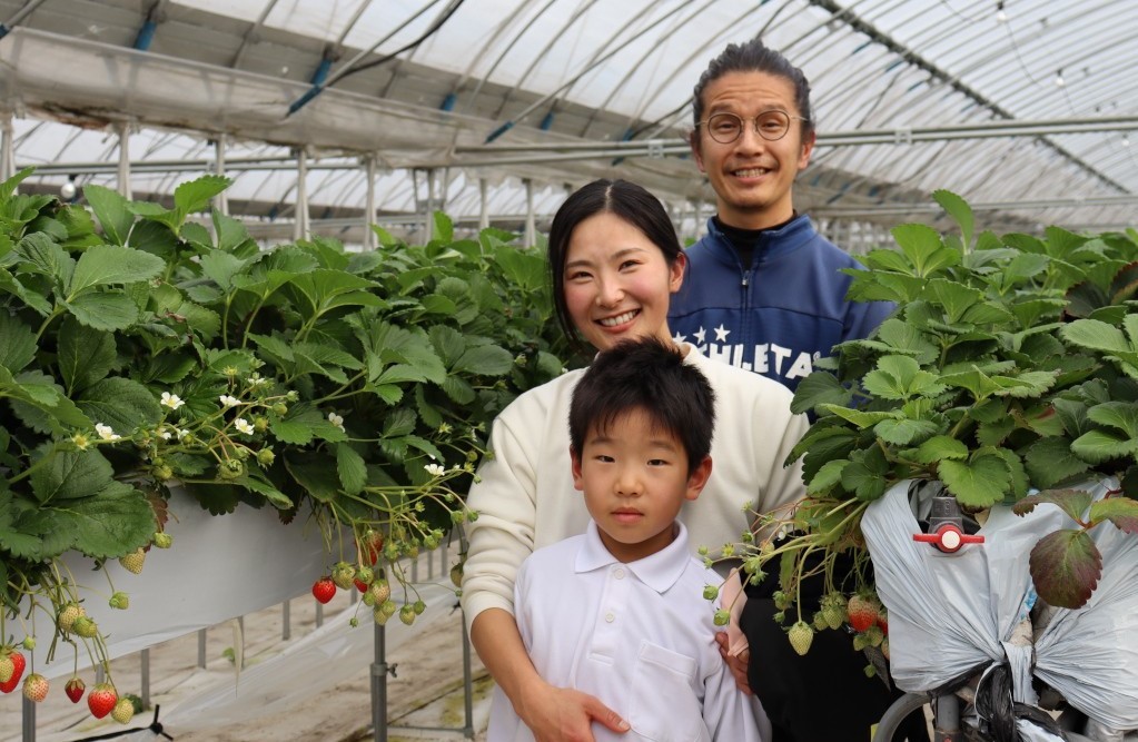 イチゴに惚れ込み移住し8年　香川・三木町でおいしいイチゴを作り続ける