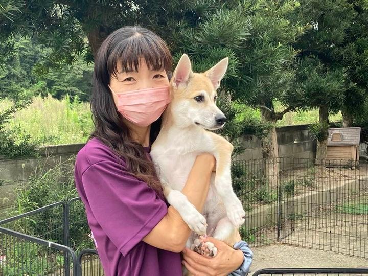 空き家を犬猫のシェルターにリノベ　里親探しに奮闘する“犬殺処分数ワースト1”香川県のボランティア