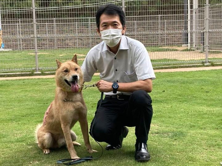 犬の殺処分数ワースト１返上なるか　香川の動物愛護施設「しっぽの森」譲渡と啓発の取り組み