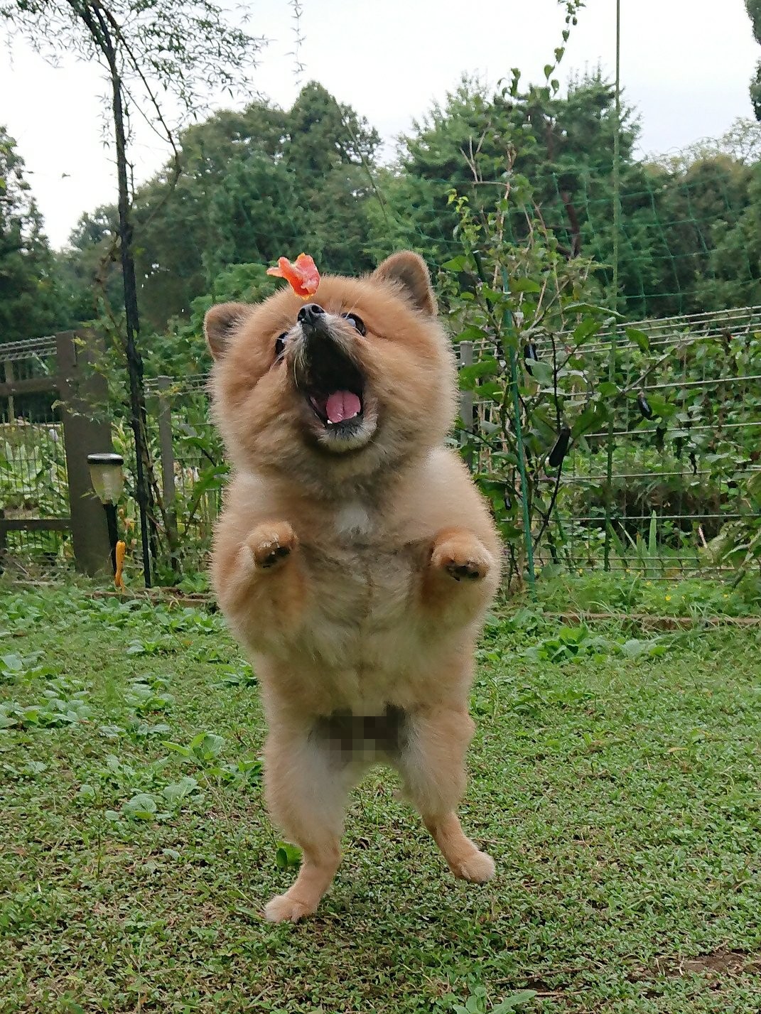 『運動しな…より提供）