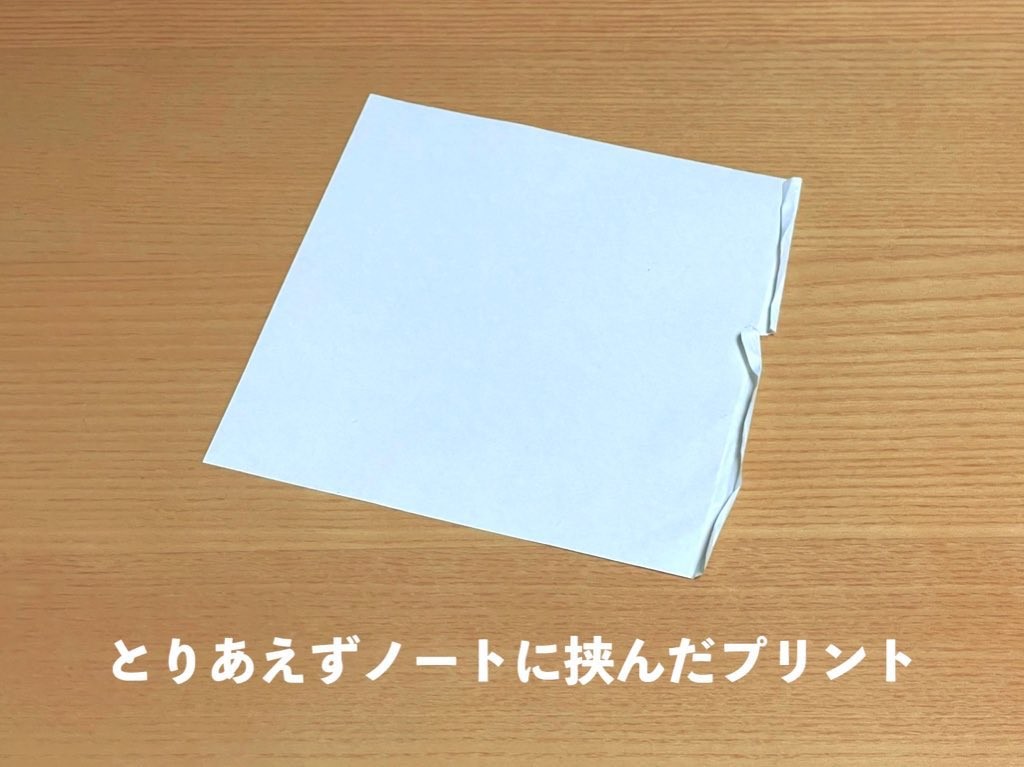 とりあえず…だプリント