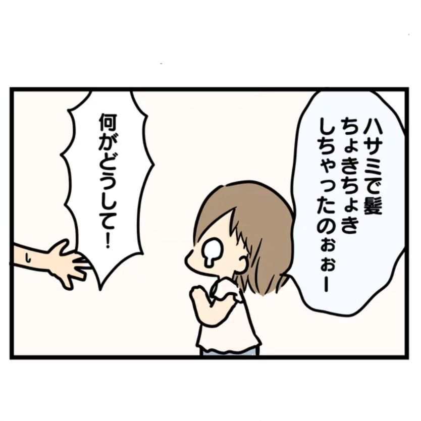 ハサミ④