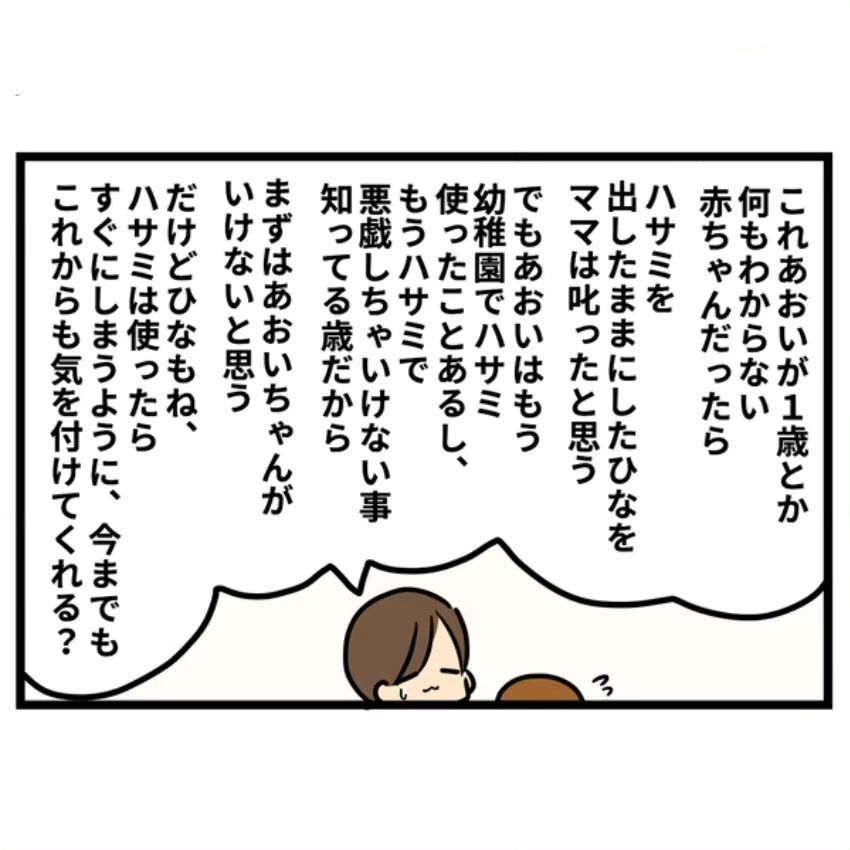 ハサミ⑬