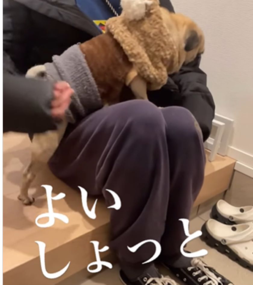 おこめちゃん④